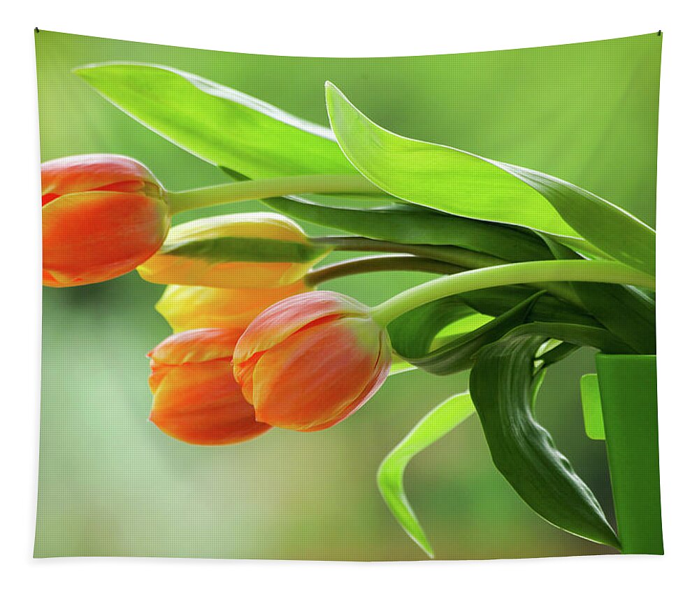 Tulip Tapestry featuring the photograph Tulips by Irman Andriana