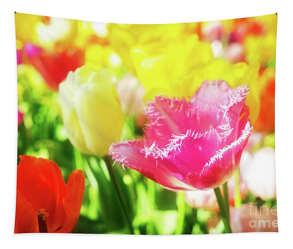 Tulips Tapestry featuring the photograph Fringed Tulips by Anastasy Yarmolovich