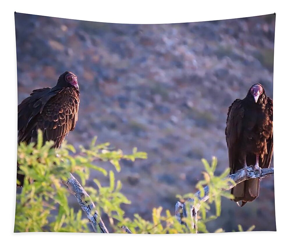 Arizona Tapestry featuring the photograph Turkey Vulture Couple by Judy Kennedy
