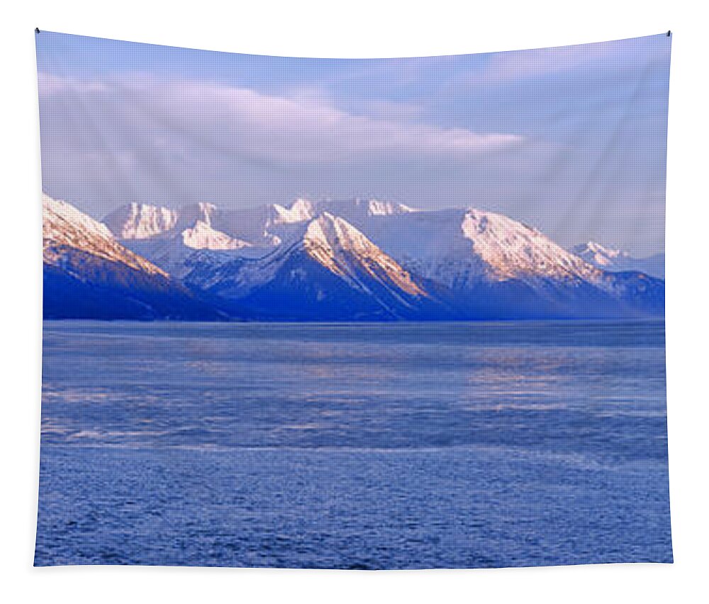 Alaska Tapestry featuring the photograph Turnagain by Chad Dutson