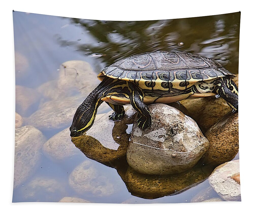 Turtle Tapestry featuring the photograph Turtle drinking water by Tatiana Travelways