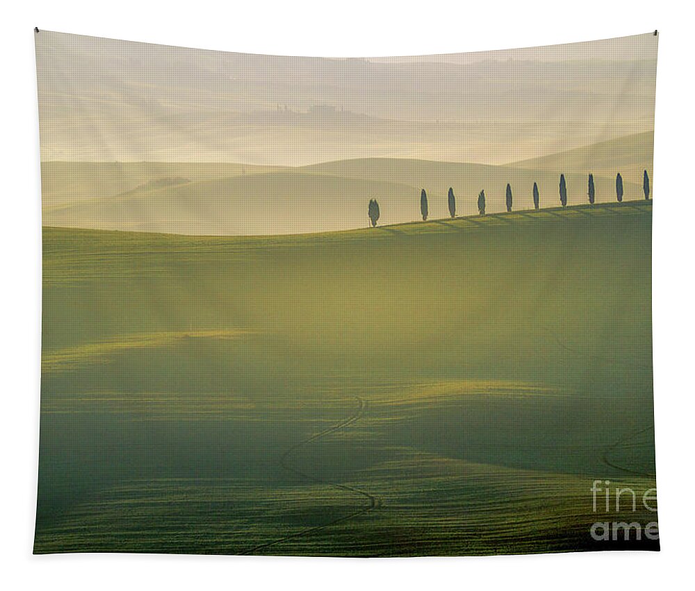 Landscape Tapestry featuring the photograph Tuscany Landscape with Cypress Trees by Heiko Koehrer-Wagner