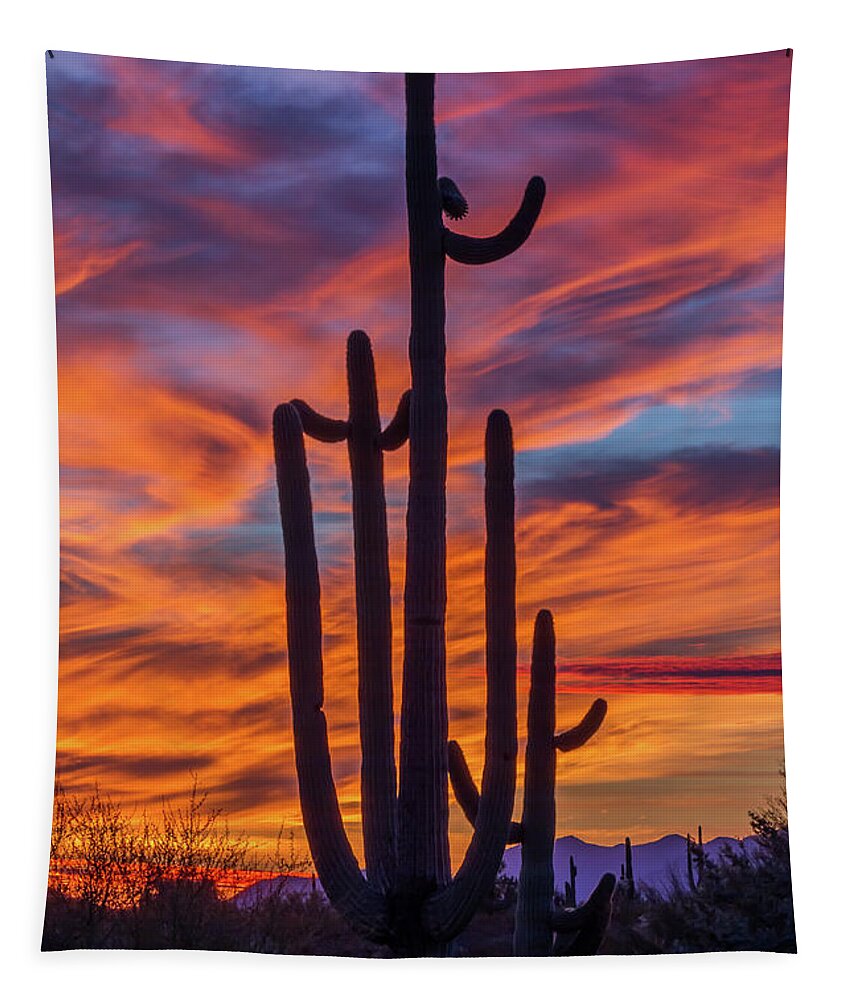 Twilight Tapestry featuring the photograph Twilight Fire by Gary Migues