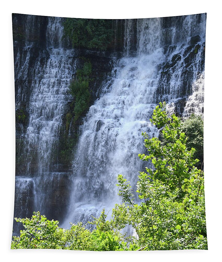 Waterfalls Tapestry featuring the photograph Twin Falls 5 by Phil Perkins