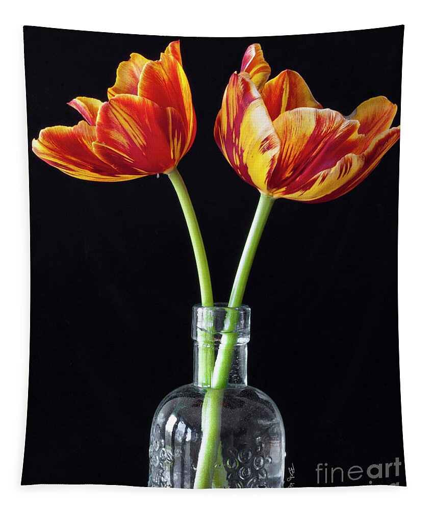 Tulips Tapestry featuring the photograph Twin Tulips by Billy Knight