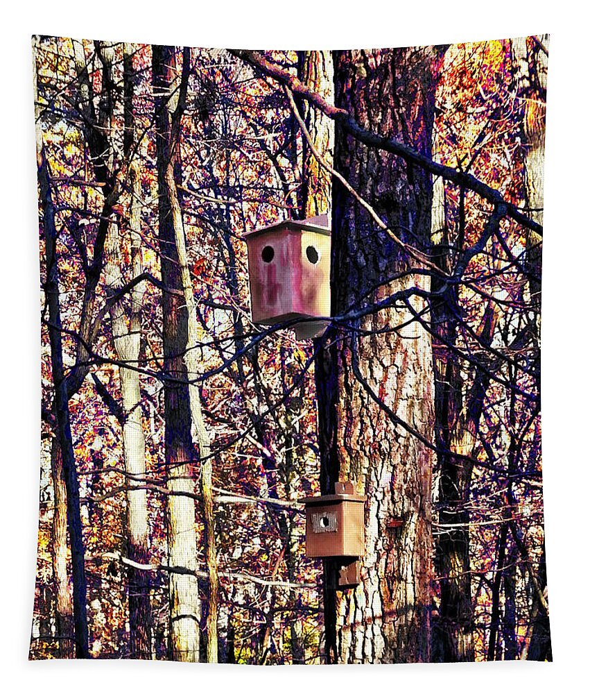Autumn Tapestry featuring the photograph Two Birdhouses in the Autumn Woods by Susan Savad