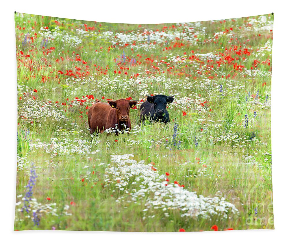 Cows Tapestry featuring the photograph Two Norfolk cows in wild flower meadow by Simon Bratt