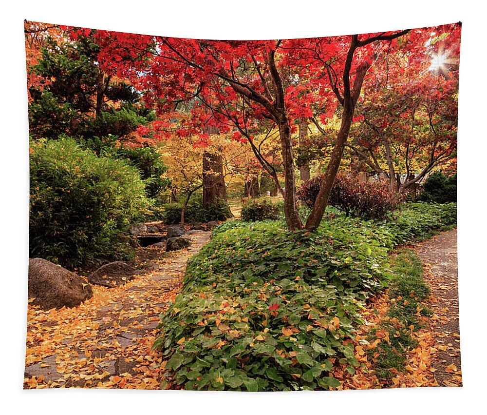 Park Tapestry featuring the photograph Two Paths In Lithia Park by James Eddy