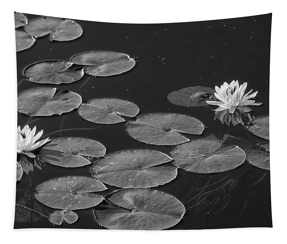 Water Tapestry featuring the photograph Two water lilies black and white by Debra Baldwin