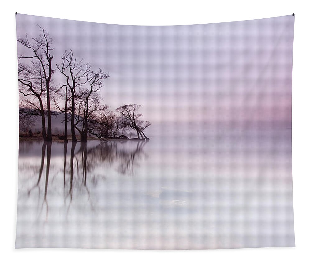Landscape Tapestry featuring the photograph Ullswater Mist at Sunrise by Anita Nicholson