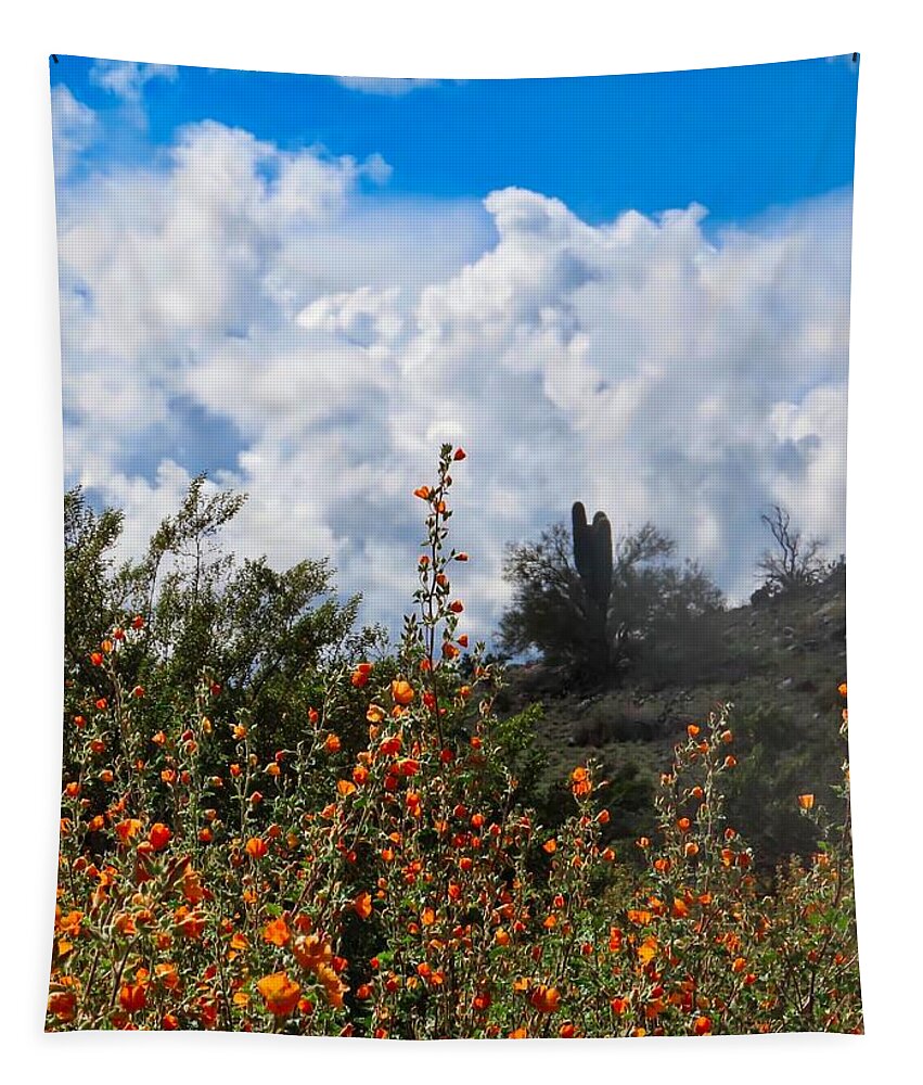 Arizona Tapestry featuring the photograph Under a White Fluffy Cloud by Judy Kennedy