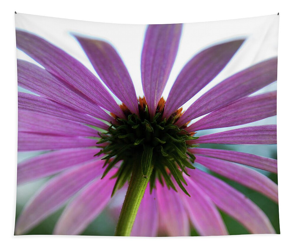 Cone Flower Tapestry featuring the photograph Undertow by David Pratt