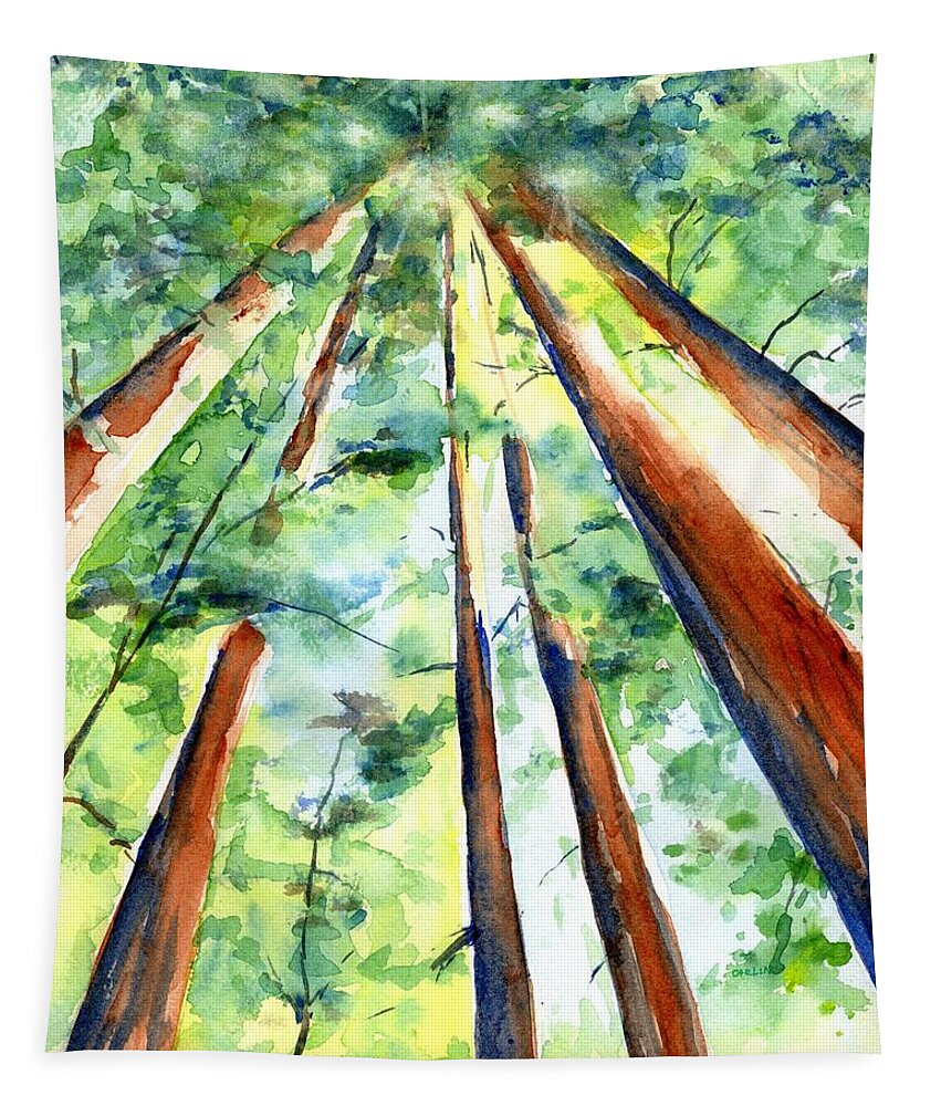 Trees Tapestry featuring the painting Up through the Redwoods by Carlin Blahnik CarlinArtWatercolor
