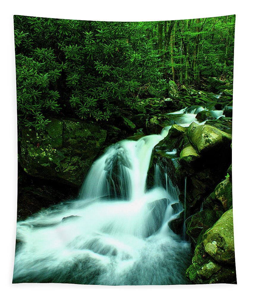 Color Tapestry featuring the photograph Upper Lynn Camp Prong Cascades by Nunweiler Photography