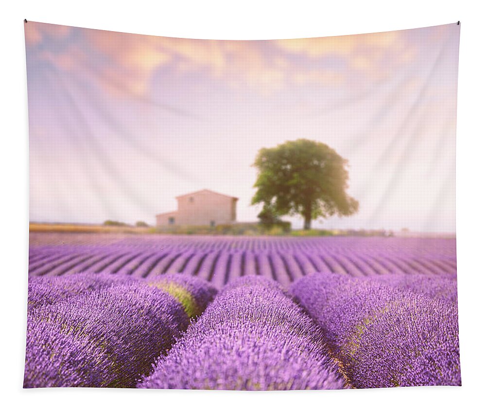 Lavender Field Tapestry featuring the photograph Valensole Plateau 2 by Giovanni Allievi