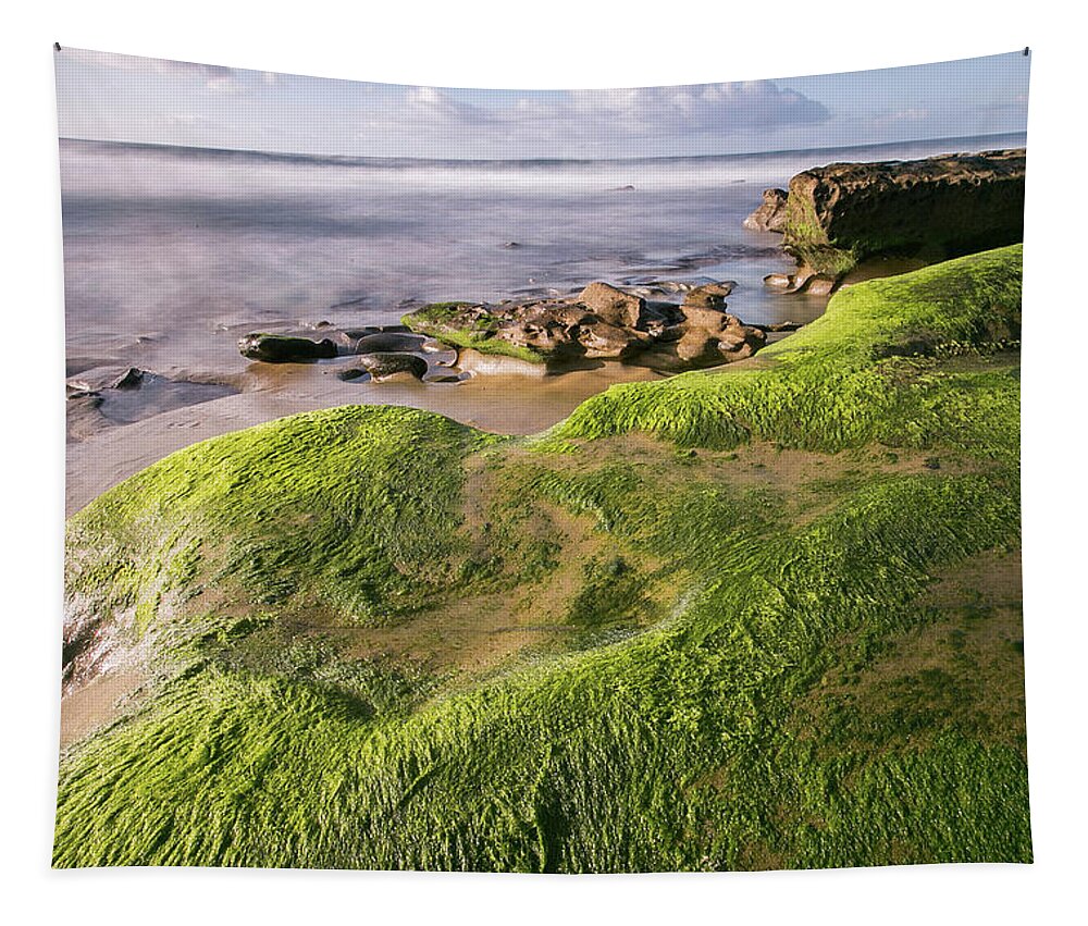 Sea Tapestry featuring the photograph Verdant 1 by Ryan Weddle