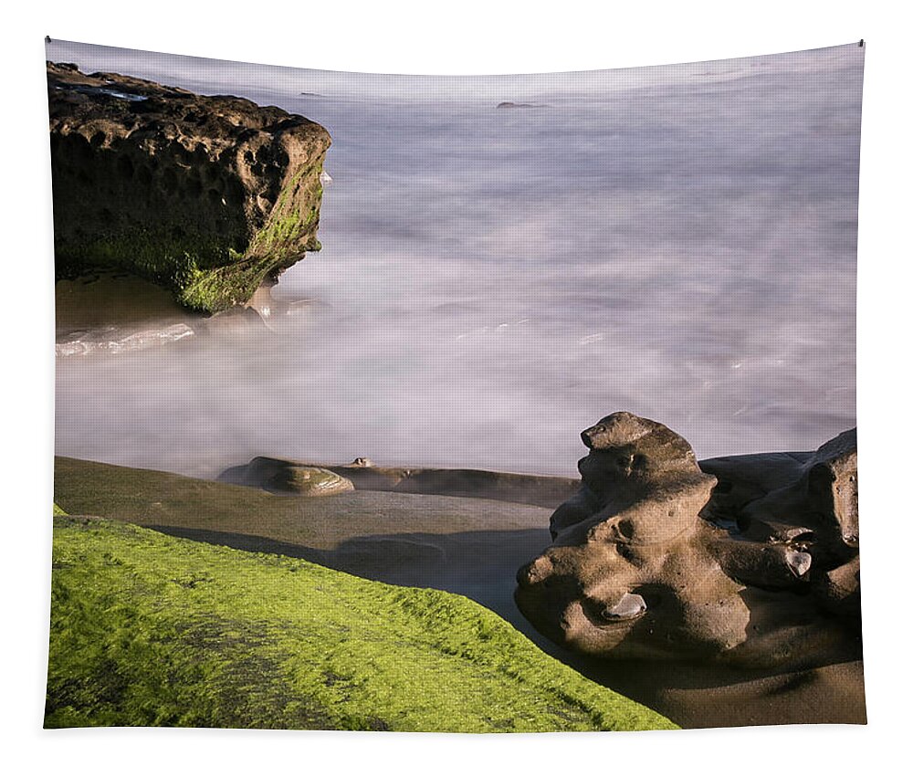 Sea Tapestry featuring the photograph Verdant 2 by Ryan Weddle