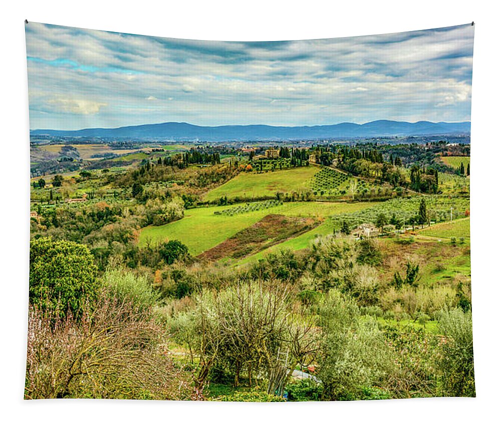 Tuscany Tapestry featuring the photograph Verdant Tuscan Springtime by Marcy Wielfaert