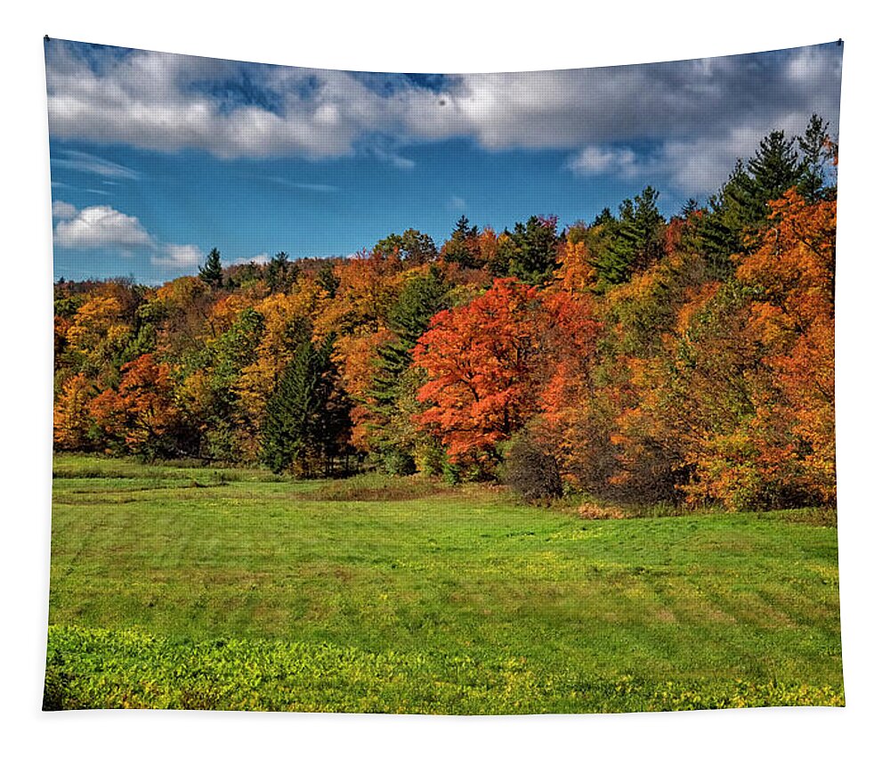 Hayward Garden Putney Vermont Tapestry featuring the photograph Vermont Autumn Colors by Tom Singleton
