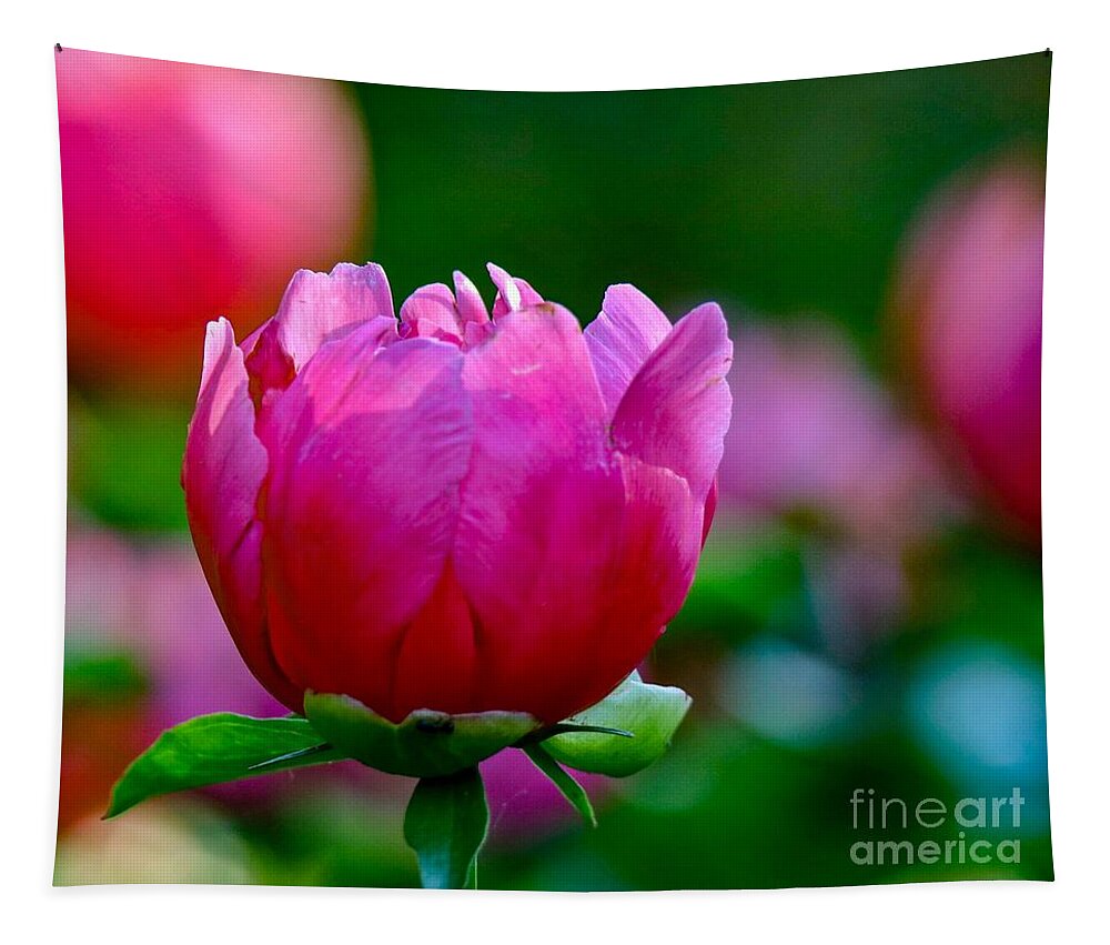 Beautiful Tapestry featuring the photograph Vibrant Pink Peony by Susan Rydberg