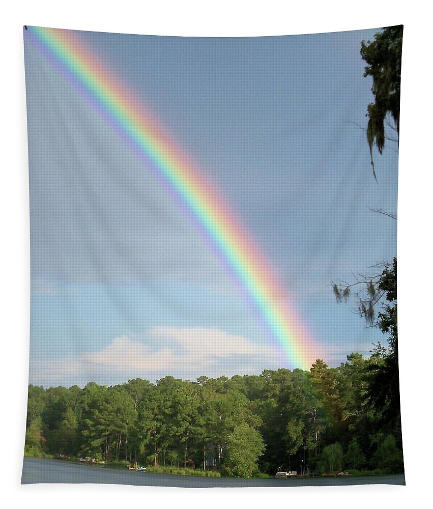 Rainbows Tapestry featuring the photograph Vibrant Promise by Karen Stansberry