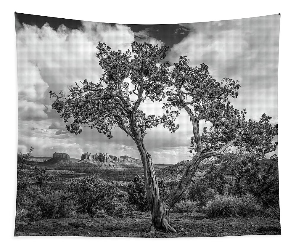 Black And White Tapestry featuring the photograph View From Juniper in Black and White 1302BW by Kenneth Johnson