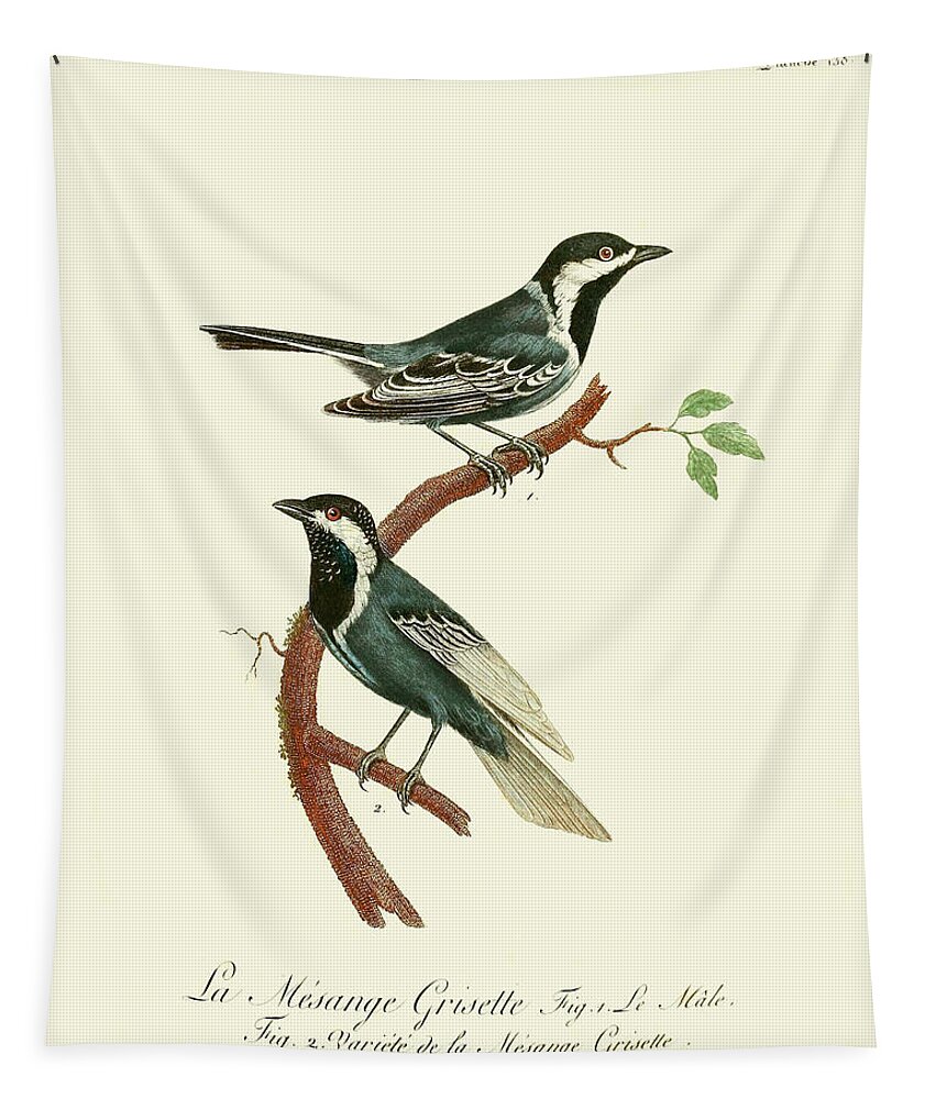 Animals & Nature+birds+domestic Birds Tapestry featuring the painting Vintage French Birds IIi by De Langlois