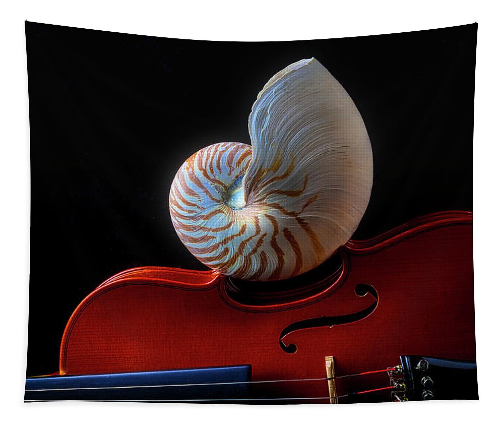 Chambered Nautilus Tapestry featuring the photograph Violin And Nautilus Shell by Garry Gay