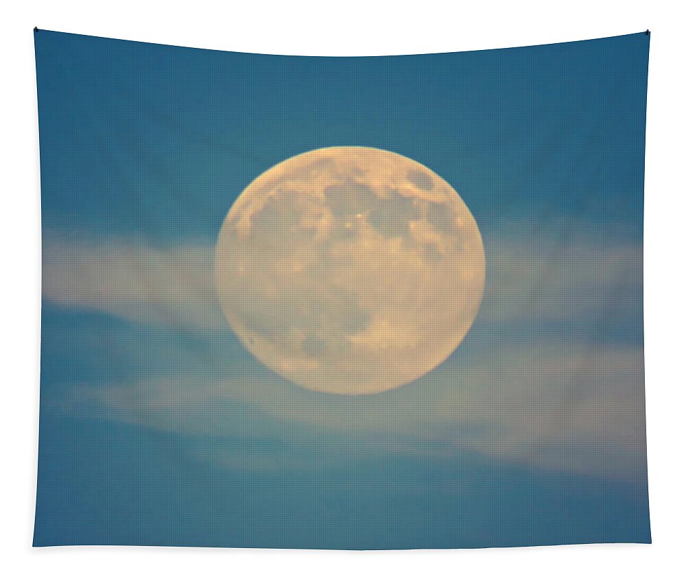 Arizona Tapestry featuring the photograph Virgo Full Moon by Judy Kennedy
