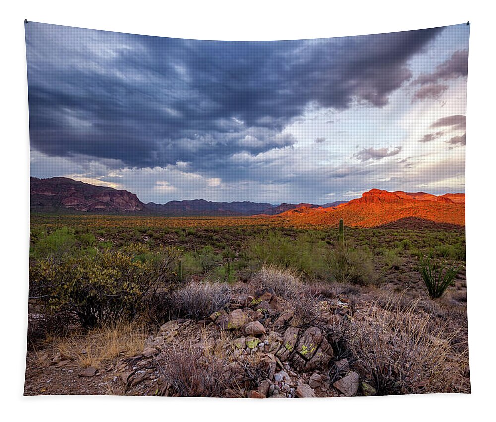 American Southwest Tapestry featuring the photograph Visions in the Desert by Rick Furmanek