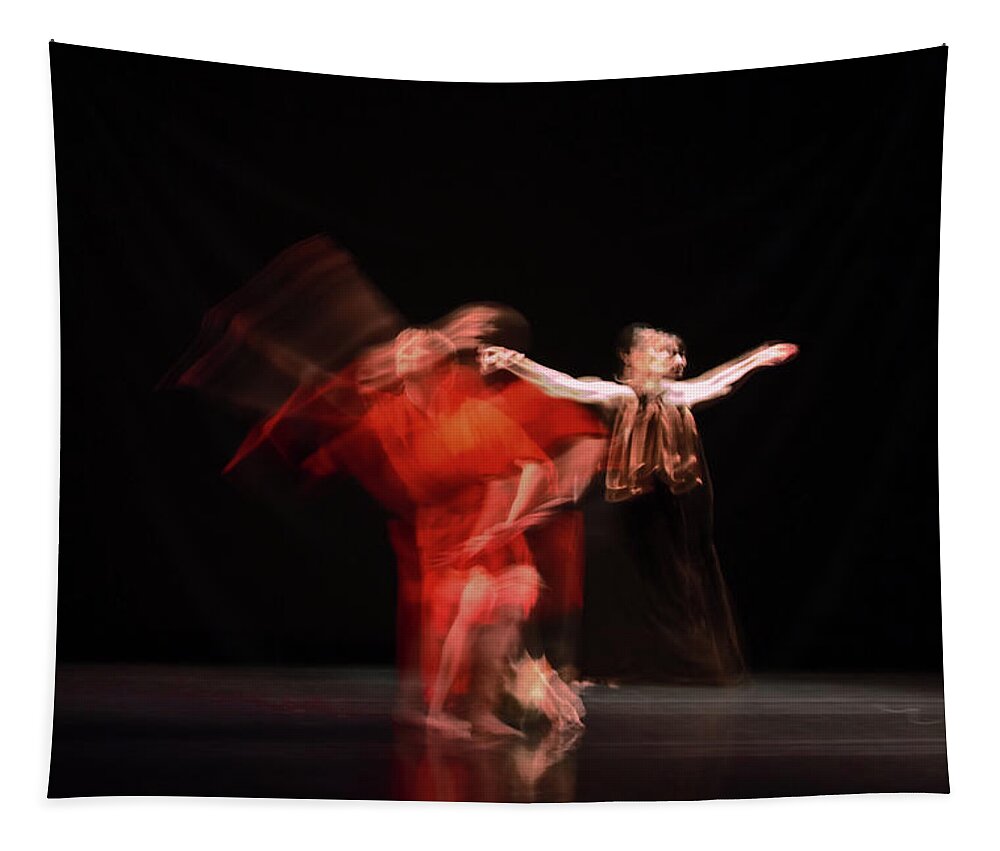 Crychord Tapestry featuring the photograph Visitation 2 by Catherine Sobredo