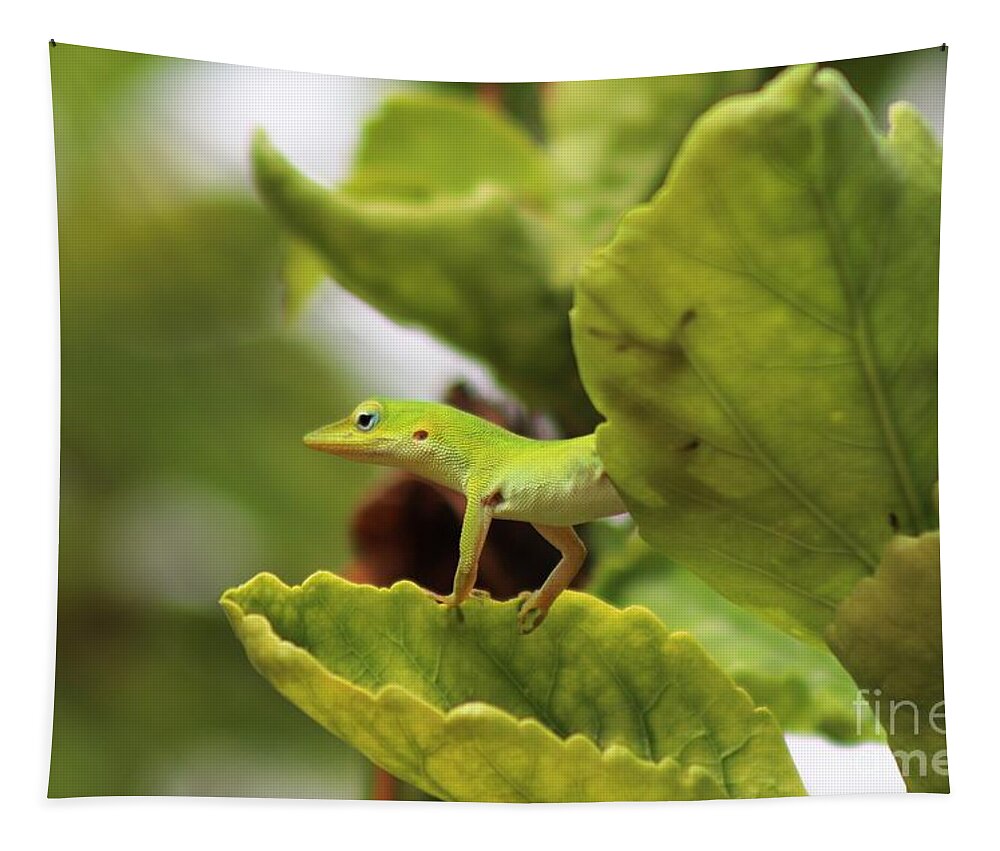 Green Anole Tapestry featuring the photograph Waiting for Lunch by Mesa Teresita