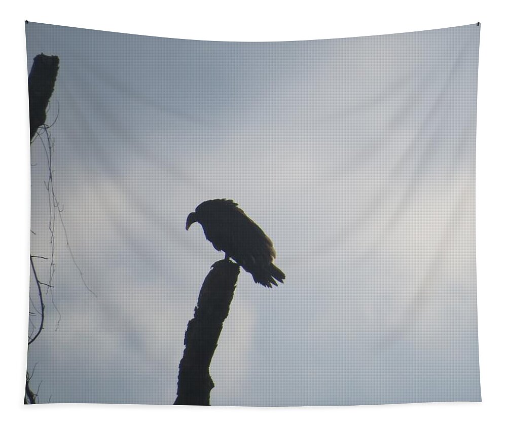 Bird Tapestry featuring the photograph Waiting For Prey by Aaron Martens