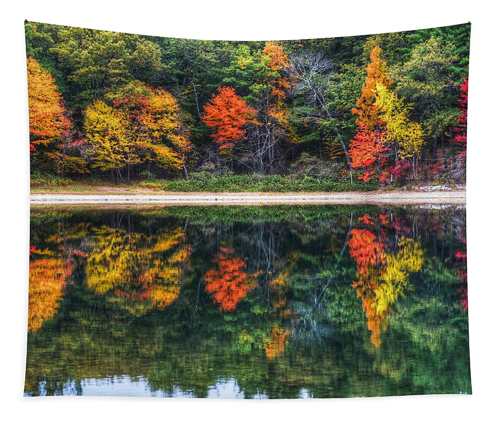 Walden Tapestry featuring the photograph Walden Pond Fall Foliage Concord MA Reflection by Toby McGuire