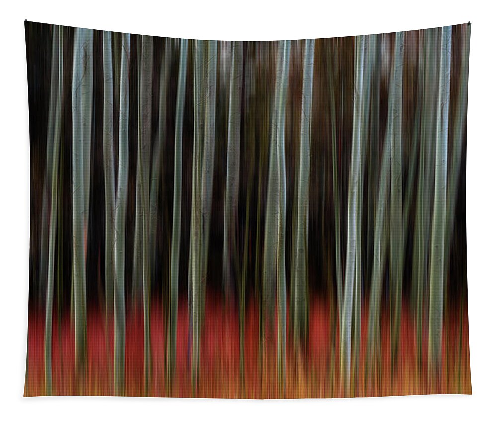 Scenery Tapestry featuring the photograph Walking Into Darkness by James BO Insogna