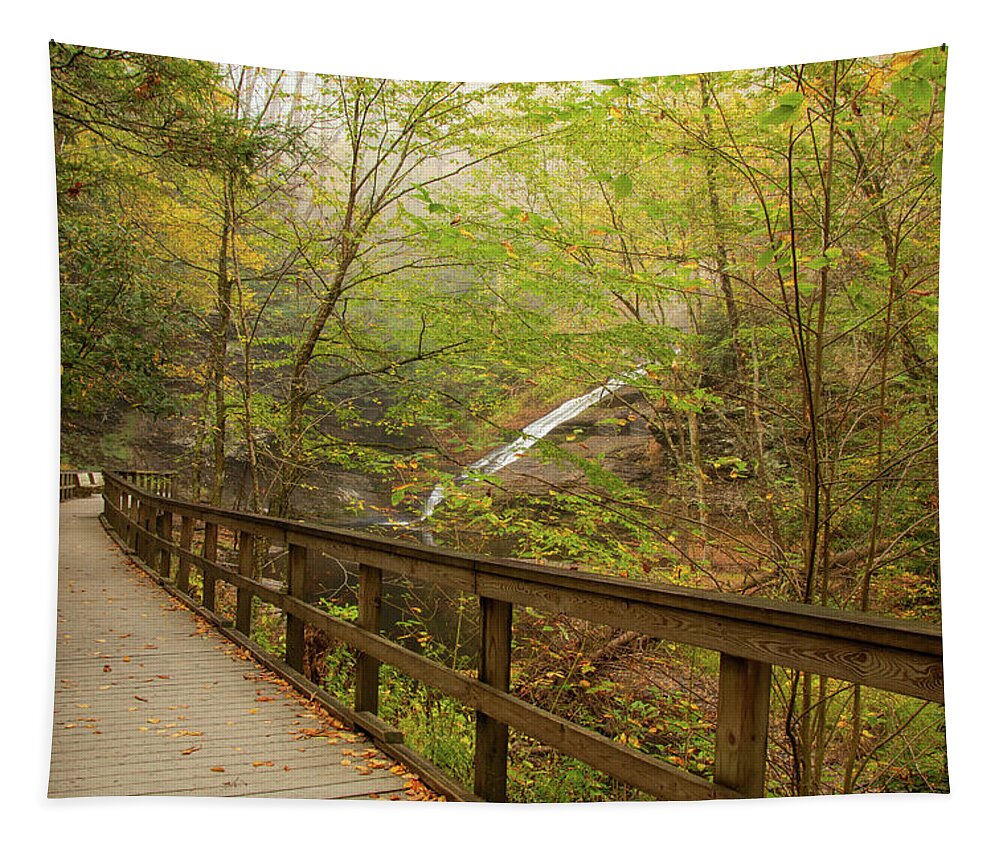 Autumn Tapestry featuring the photograph Walkway To Dingman Falls by Kristia Adams