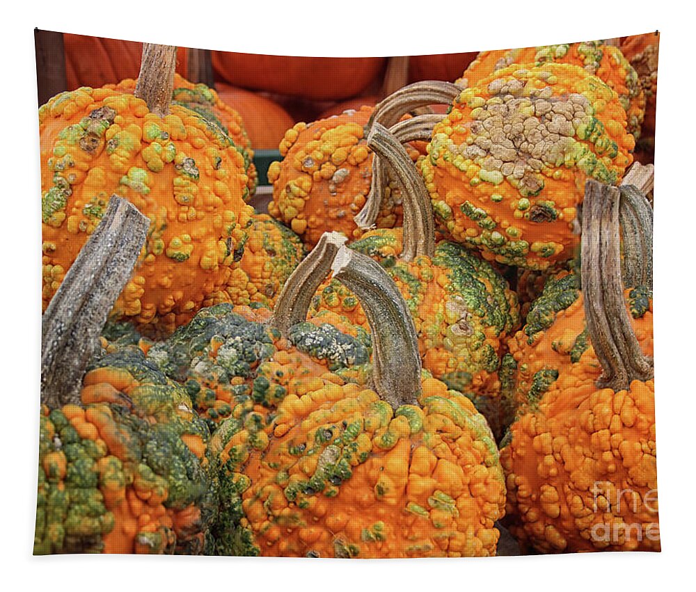 Warty Pumpkin Tapestry featuring the photograph Warty Pumpkins by Karen Adams