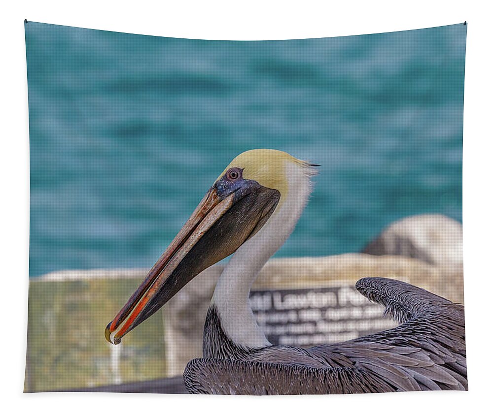 Pelican Tapestry featuring the photograph Watching by Les Greenwood