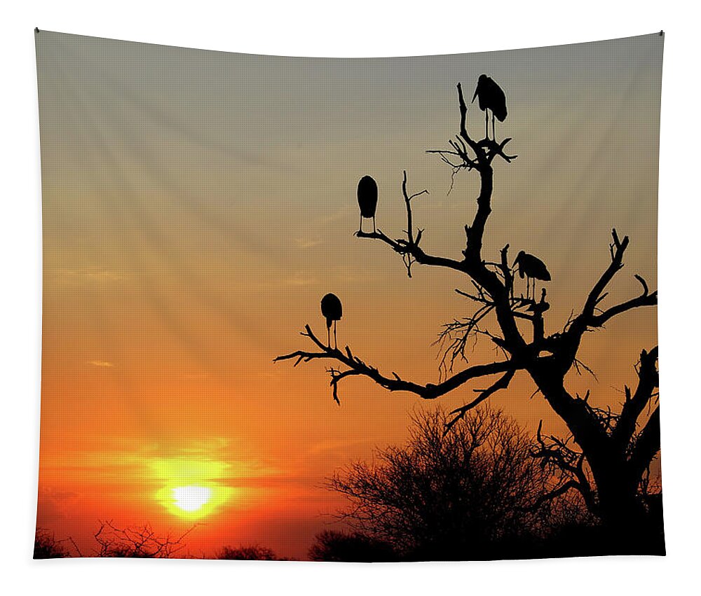  Tapestry featuring the photograph Watching the Sunset by Eric Pengelly