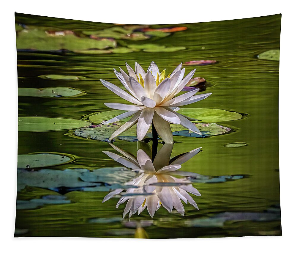 Floral Tapestry featuring the photograph Water Lily In Bloom by JASawyer Imaging