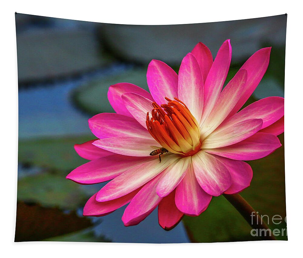 Lily Tapestry featuring the photograph Water Lily with Bee by Tom Claud