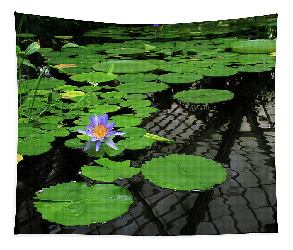 Water Lily With Reflections Tapestry featuring the photograph Water Lily With Reflections by Bonnie Follett