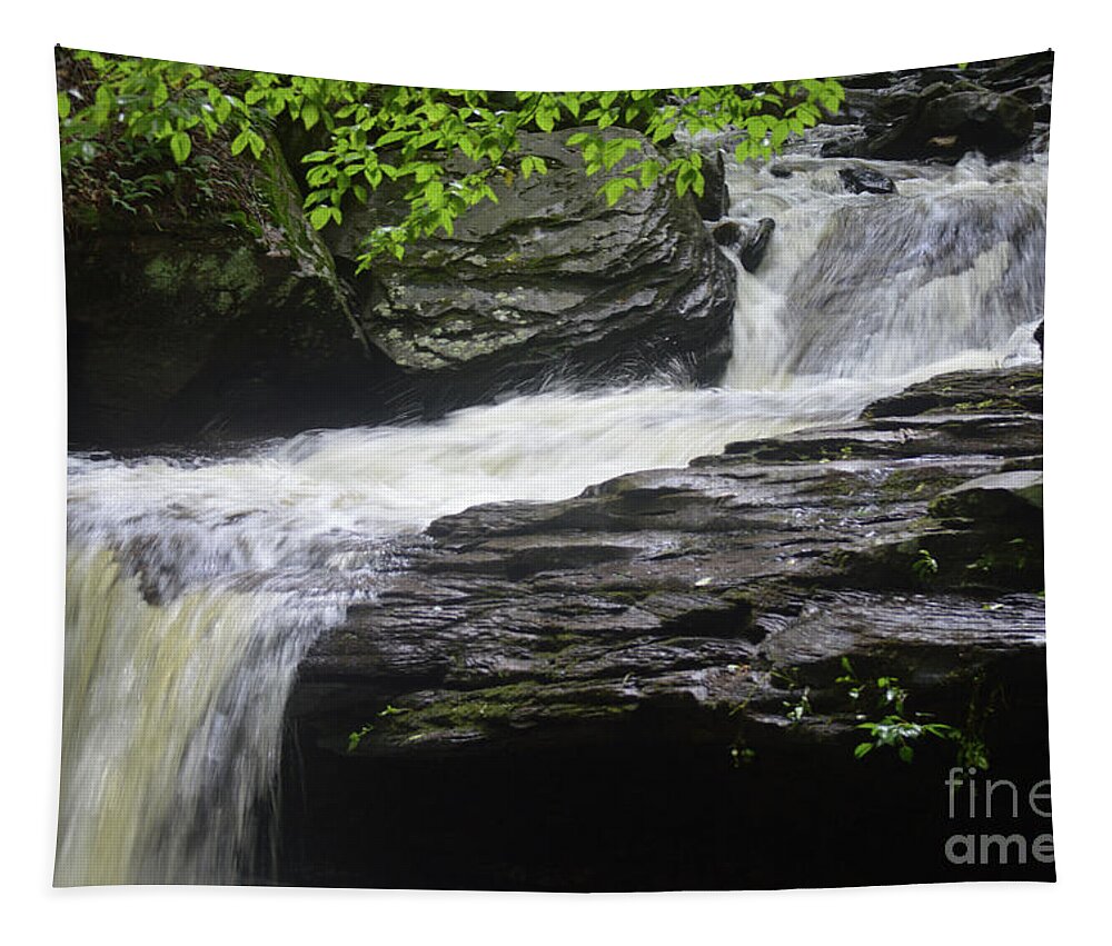 Green Tapestry featuring the photograph Waterfall at Ricketts Glen by Aicy Karbstein