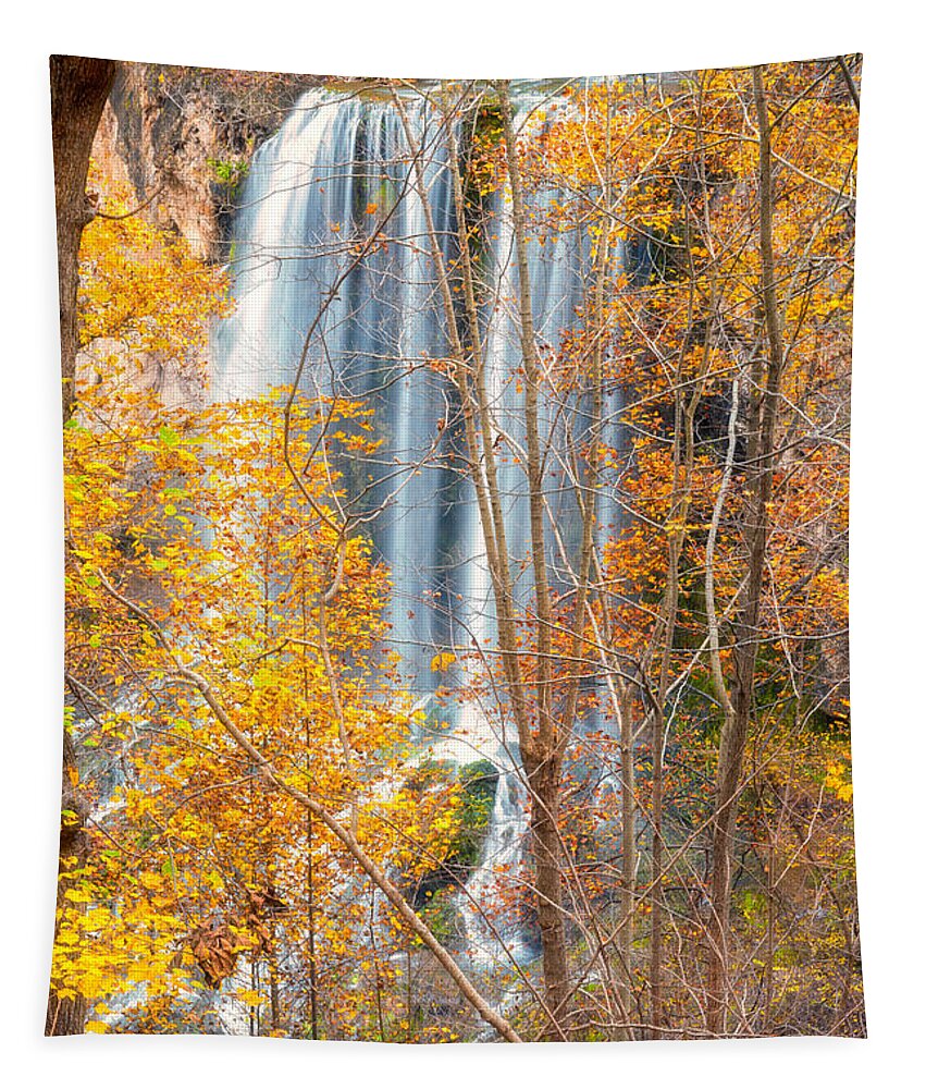 Waterfall Backdrop Tapestry featuring the photograph Waterfall Backdrop by Russell Pugh