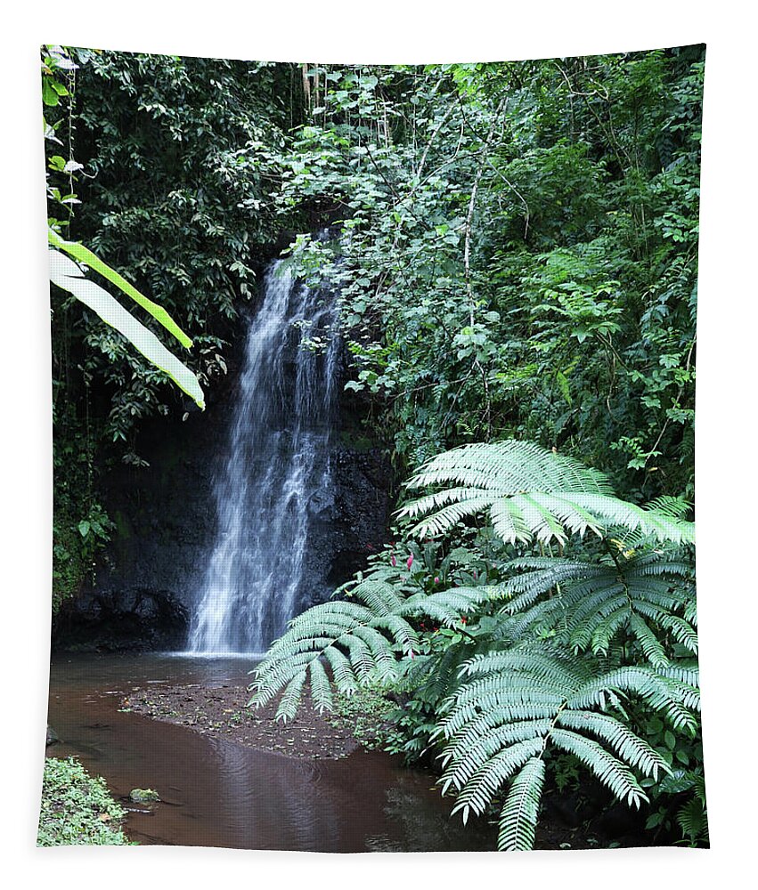 Brad Brailsford Tapestry featuring the photograph Waterfall by Brad Brailsford