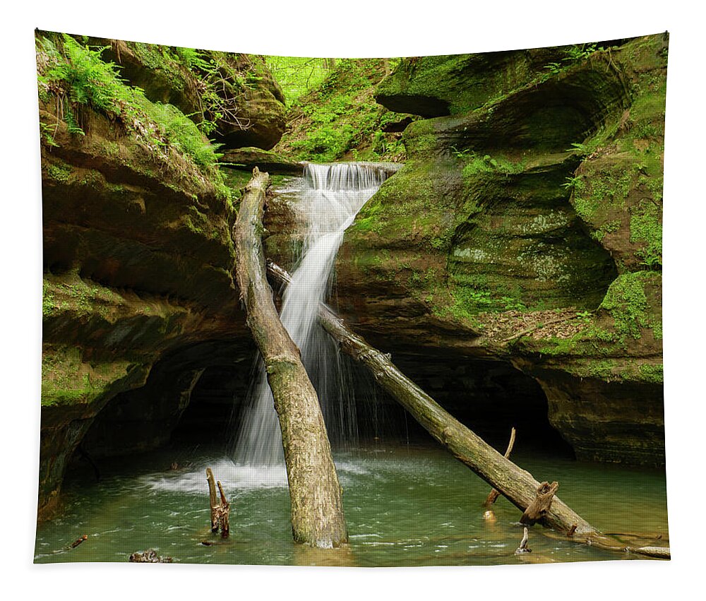 Illinois Tapestry featuring the photograph Waterfall, Kaskaskia Canyon. by Todd Bannor