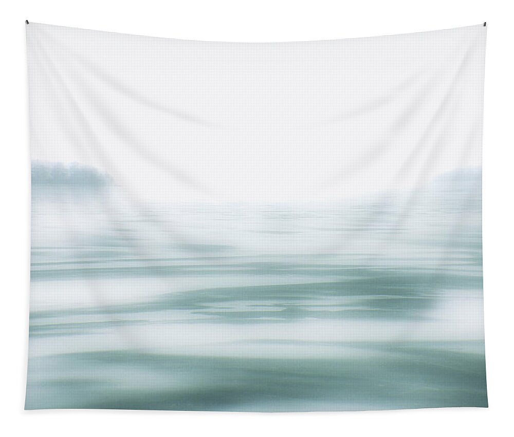 Ice Tapestry featuring the photograph One December by Cynthia Dickinson