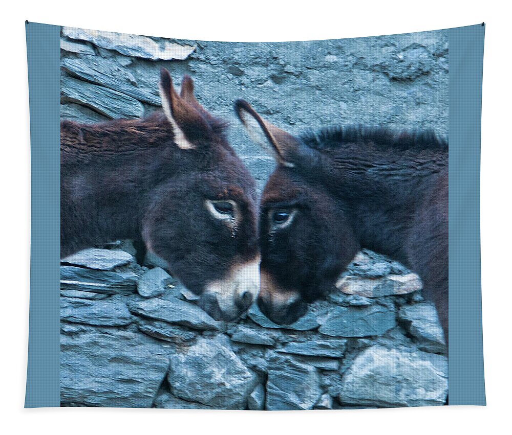 Burro Tapestry featuring the photograph Eye To Eye, Nose To Nose, Heart To Heart by Leslie Struxness