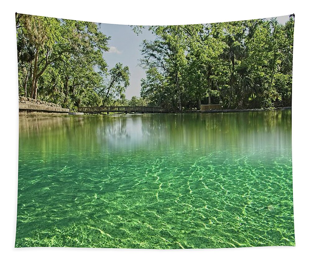 Wekiwa Springs Tapestry featuring the photograph Wekiwa Springs by Steve DaPonte