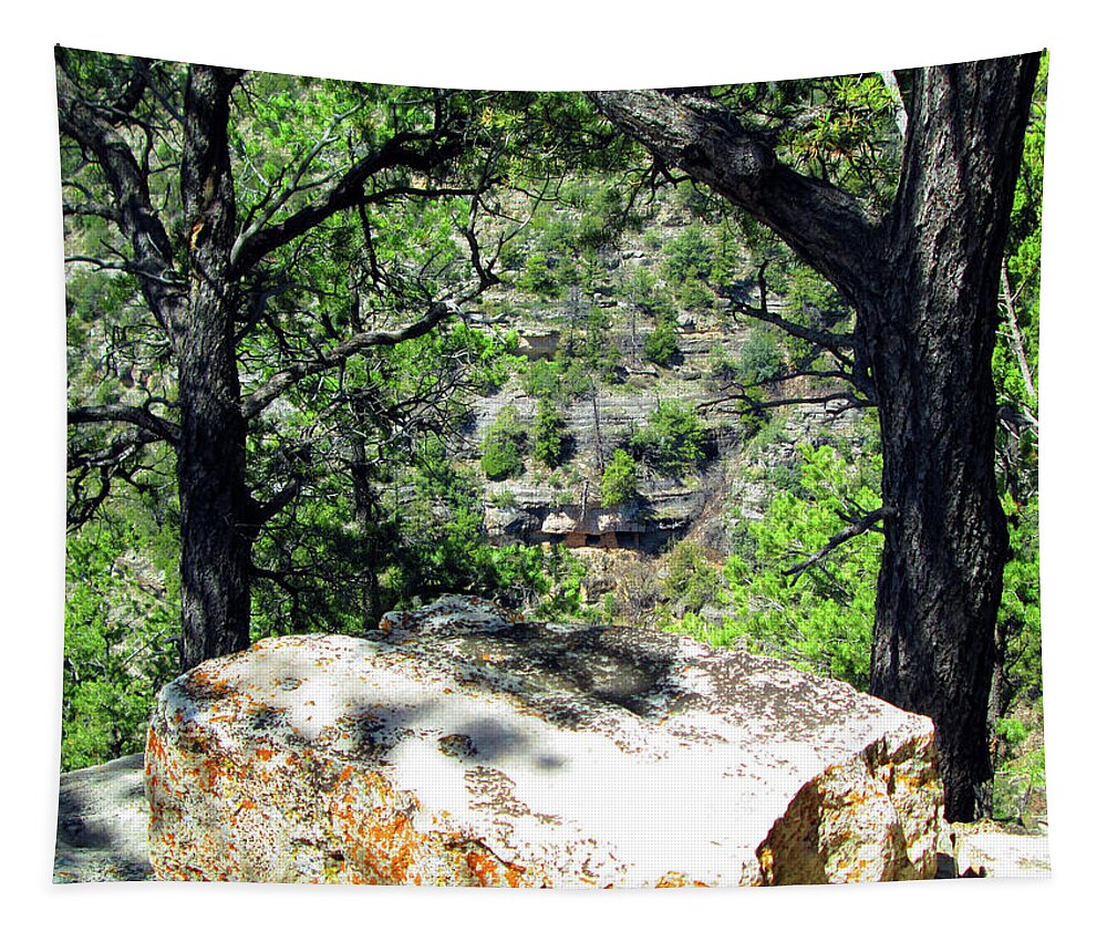 Grand Canyon Tapestry featuring the photograph Welcome by Ilia -